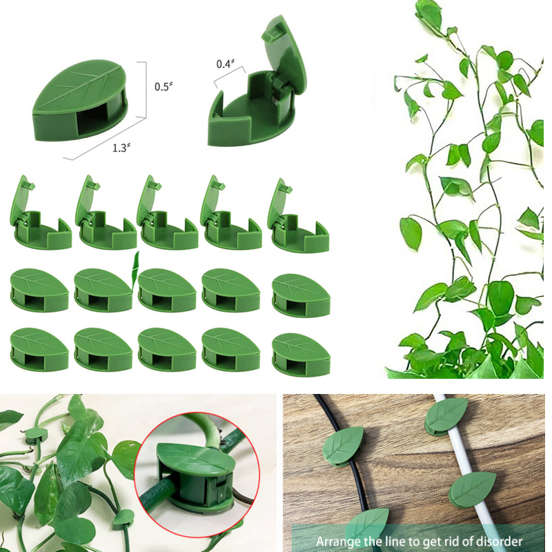 Vine Climbing Plastic - Vô Hình Vật Có Hoa Leo