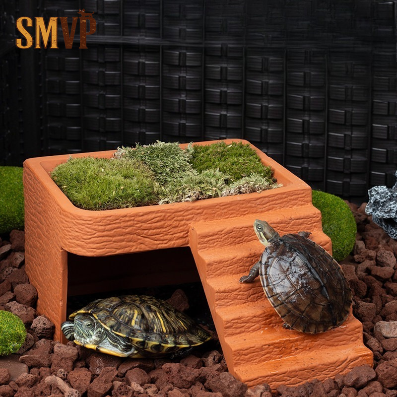Aquarium Turtle Basking Platfo - đánh giá và giá Hide Cave Ceramic