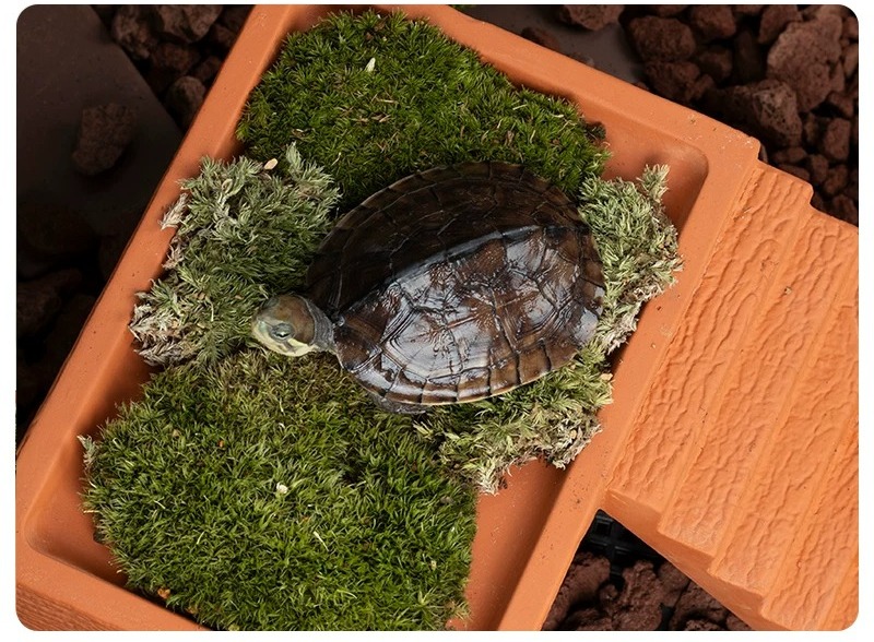 Aquarium Turtle Basking Platfo - đánh giá và giá Hide Cave Ceramic