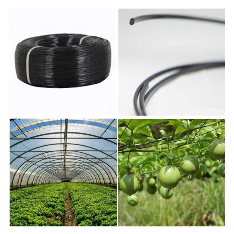 50m Plastic Steel Wire Agricul - đánh giá và giá Vine Climbing Plastic