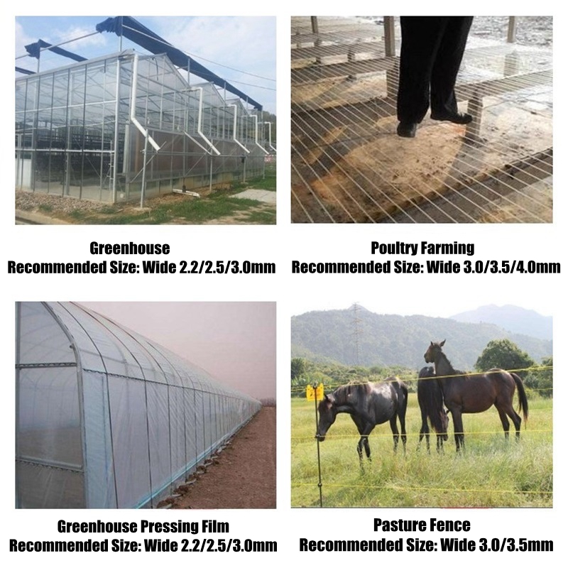 50m Plastic Steel Wire Agricul - đánh giá và giá Vine Climbing Plastic