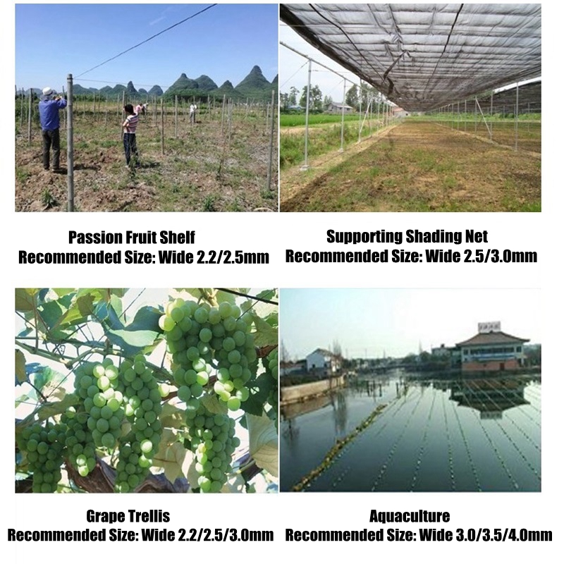 50m Plastic Steel Wire Agricul - đánh giá và giá Vine Climbing Plastic