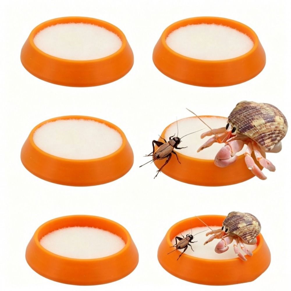 6pcs Portable Reusable Reptile - đánh giá và giá Water Dish Reptile