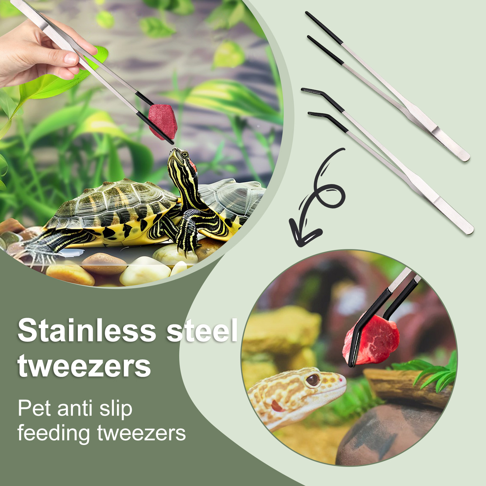 Stainless Steel Reptile Feedin - đánh giá và giá Water Dish Reptile