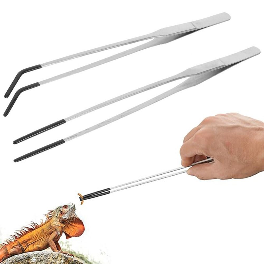 2Pcs Stainless Steel Aquarium  - đánh giá và giá Feeding Tong Stainless