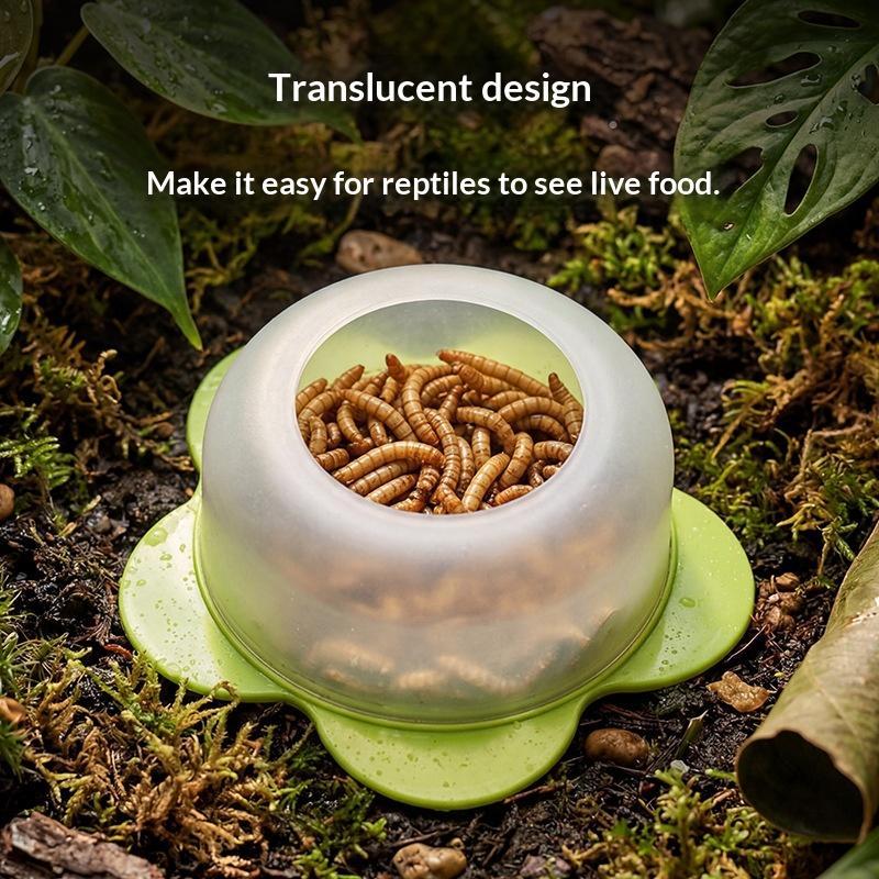 1Pc ABS Reptile Feeding Dish A - đánh giá và giá Water Dish Reptile