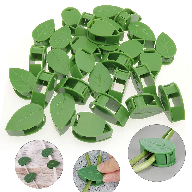 Vô Hình Vật Có Hoa Leo Tường Đ - đánh giá và giá Vine Climbing Plastic