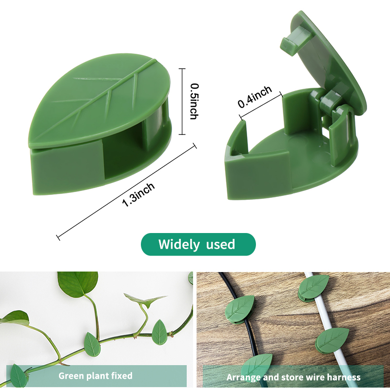 Vô Hình Vật Có Hoa Leo Tường Đ - đánh giá và giá Vine Climbing Plastic